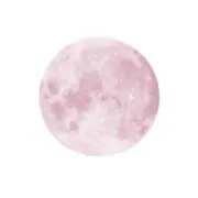 ⓜの画像
