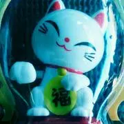 こにゃっくの画像