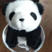 kimkoの画像
