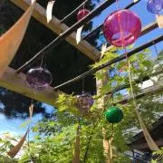 のこのこの画像