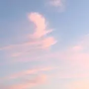 さなぎの画像
