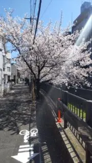いろばあの画像