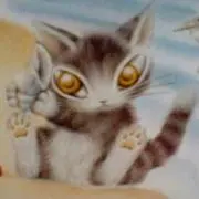 游伽