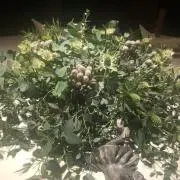 ハイジの画像