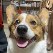 lqv..nnの画像