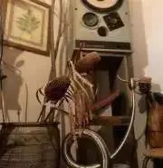 Plant-Oの画像