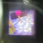 サファリ