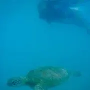 MSkywa1kerの画像