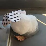 あん