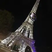 パセリの画像