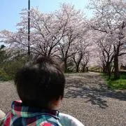 ゆうこりん
