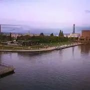 なつね