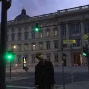 gonの画像