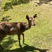 アイドルマスター ライブBlu-ray 7th 5th等 - メルカリ