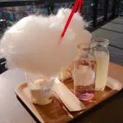てんの画像