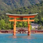 こもっち✧毎日発送の画像