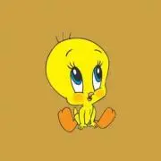 ★セール中★の画像