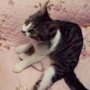 かやこ