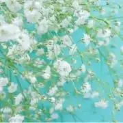 T3 ( 即購入OKです♪ )の画像
