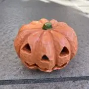 むぎの画像