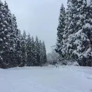 toshioの画像