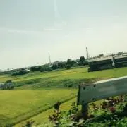 ＊ポテト＊