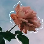 メル