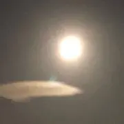 おおた