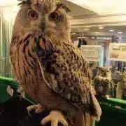 ゆーきの画像