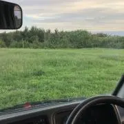 makaroniの画像