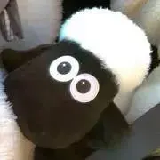 はるの画像