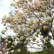 【お値段交渉お気軽にどうぞ！】の画像
