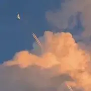 みの画像
