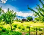 kou34の画像