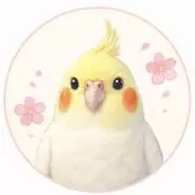 こはる★丁寧発送の画像