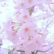 tuRu⭐︎の画像