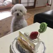 もなかの画像