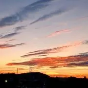 こうやの画像