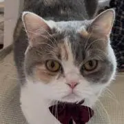 かおりん    プロフィール必見⚠️の画像