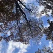 はるやまの画像