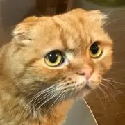 プルの画像