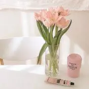 よっしーの画像