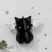 せいらちゃんの画像