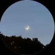 IRの画像