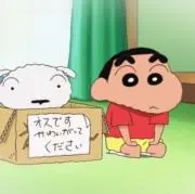 ここ