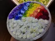 terror☆handmadeも出品♪の画像