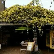 Louna☾ᐝプロフ必読☾ᐝの画像