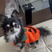 のん プロフ必読(*´˘`*)