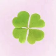 juunの画像