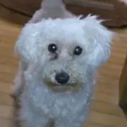 ありさかの画像